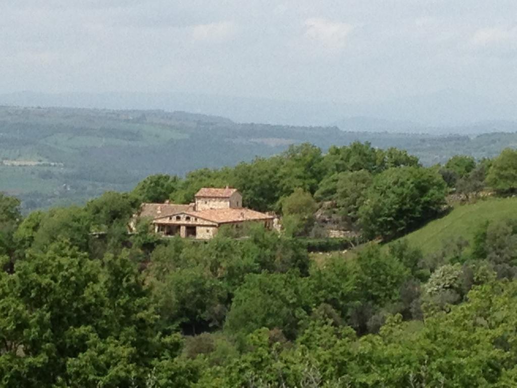 Guardea Luxury Villa Colle Dell'Asinello ,Proprietari ,Villa In Esclusiva Near Orvieto חדר תמונה